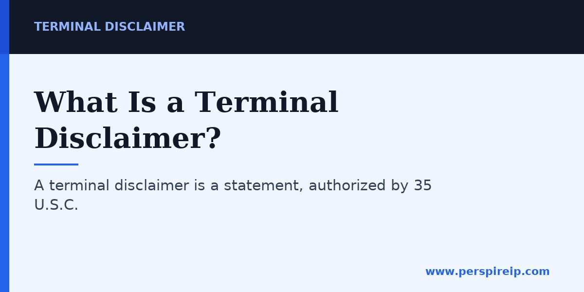 What Is a Terminal Disclaimer? — terminal disclaimer