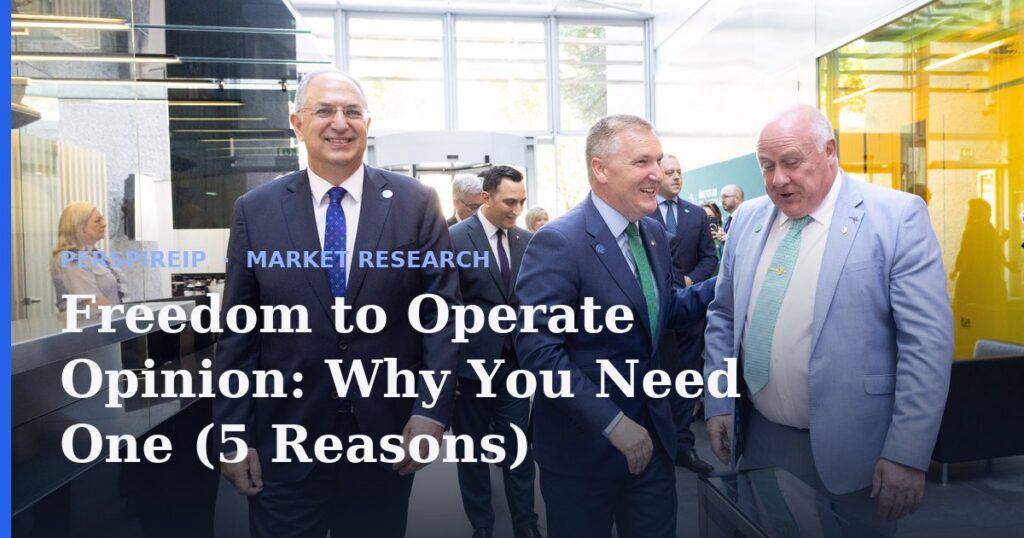 Freedom to operate opinion for a product launch