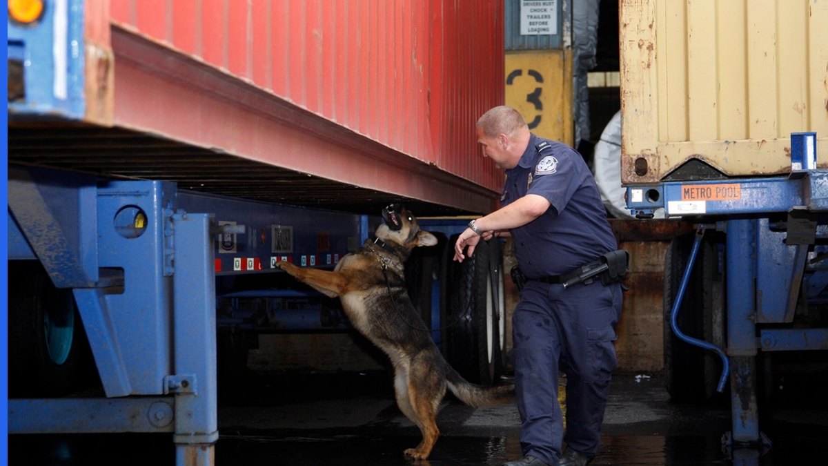 Customs inspection of imported goods to stop counterfeit products