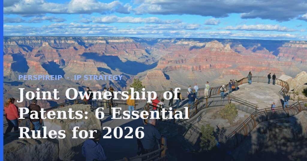 Joint ownership of patents between two co-owners signing an agreement