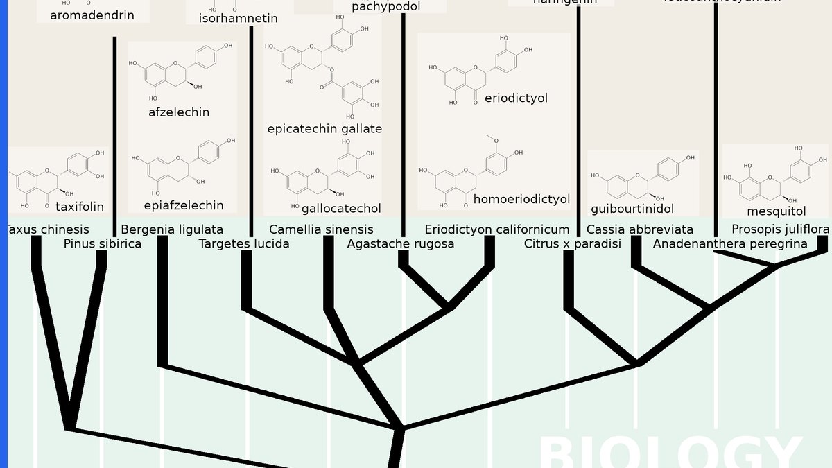 Patent drawings for chemical inventions showing a structural formula labelled as a figure