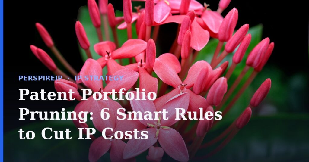 Patent portfolio pruning review of patents to cut maintenance costs