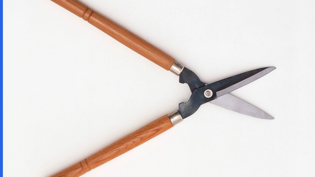 Patent portfolio pruning triage of high-value and low-value patents